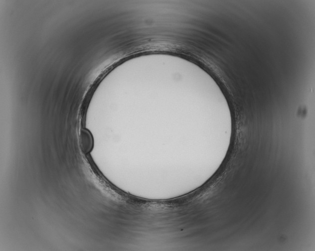 X0000111531034200908111221