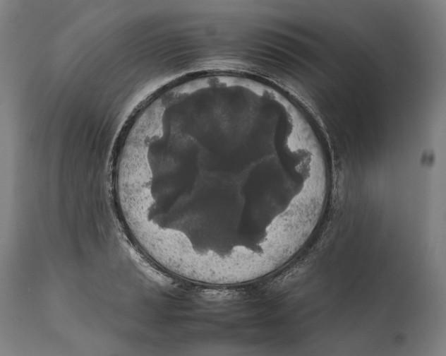 X0000111531037200908111221