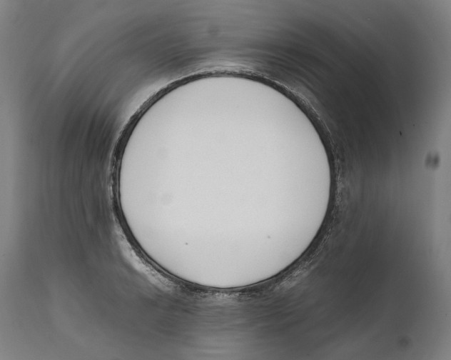 X0000111531038200908111221