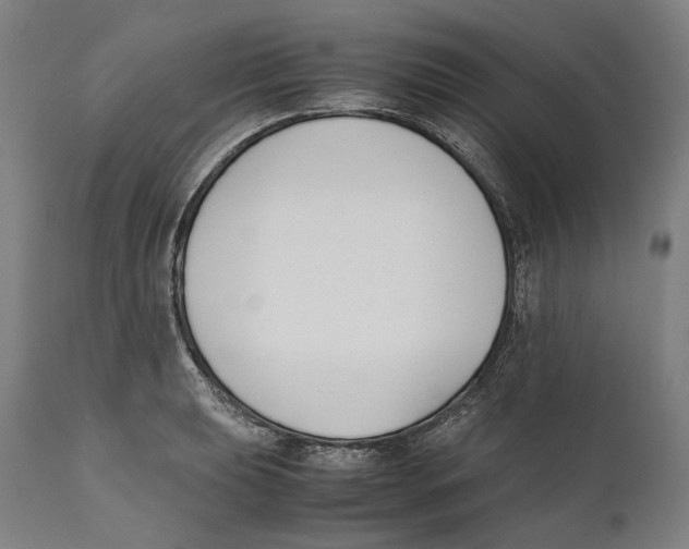 X0000111531039200908111221