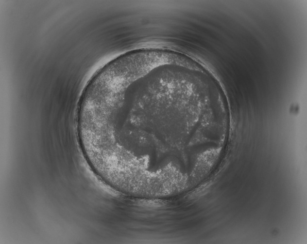 X0000111531045200908111221