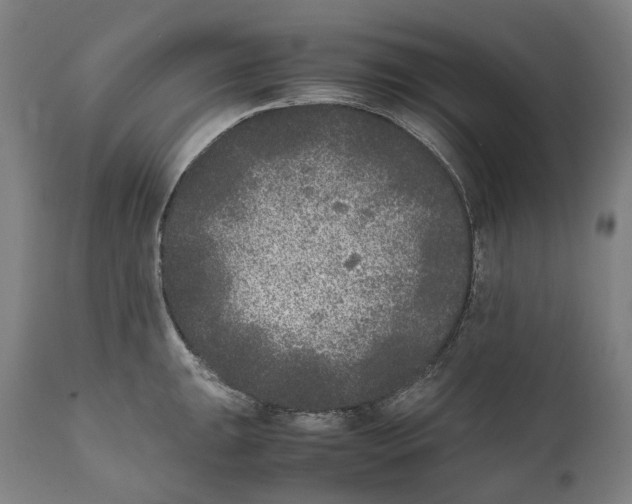 X0000111531047200908111221