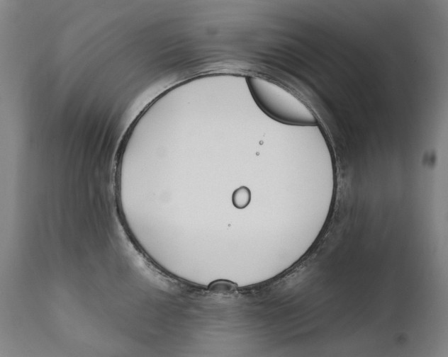 X0000111531050200908111221