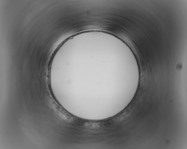 X0000111531051200908111221