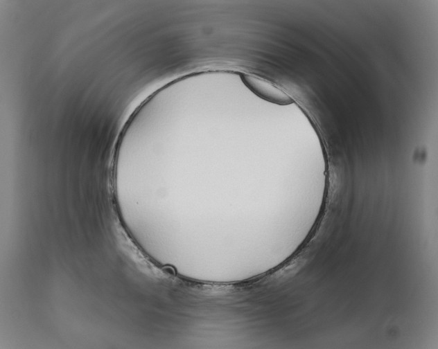 X0000111531052200908111221