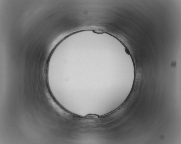 X0000111531054200908111221