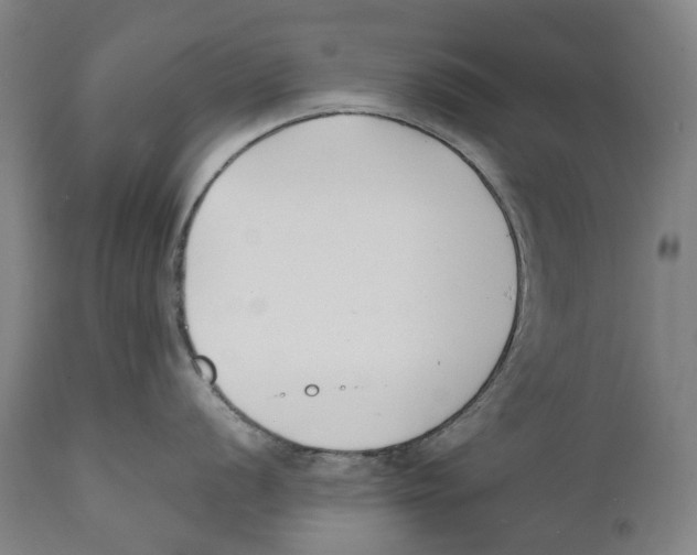 X0000111531056200908111221