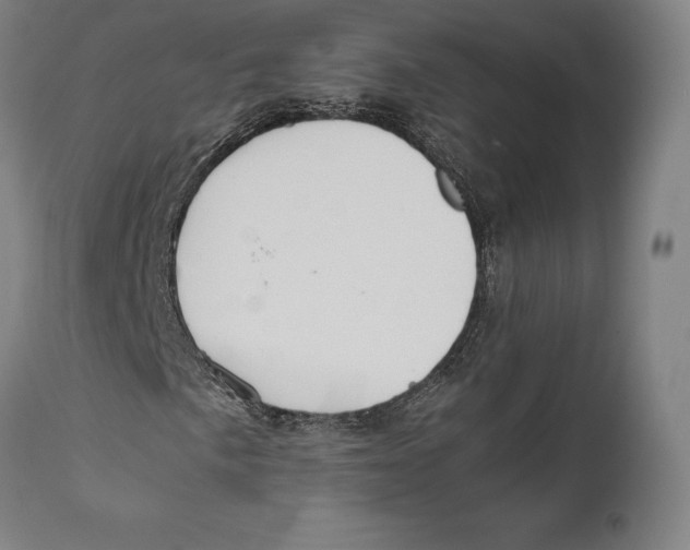 X0000111531057200908111220