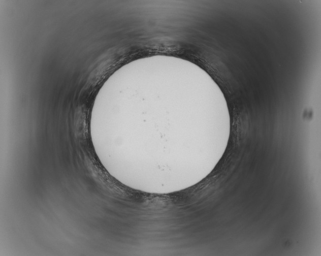 X0000111531058200908111220