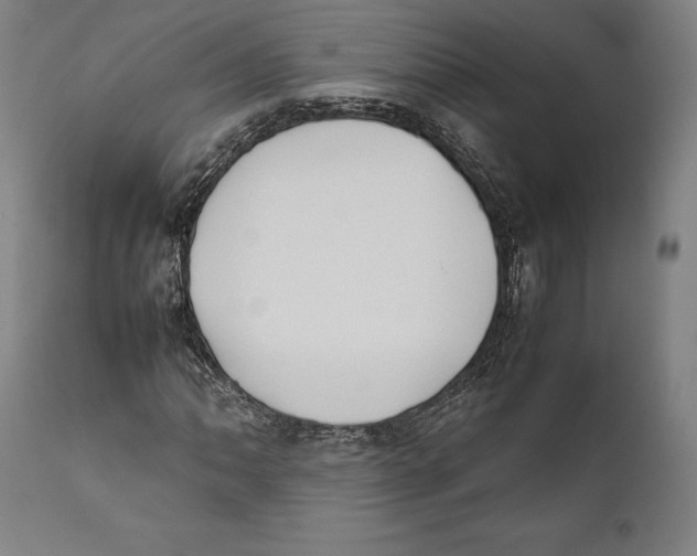 X0000111531062200908111220