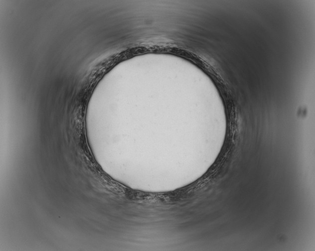 X0000111531063200908111220