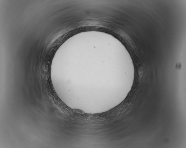 X0000111531064200908111220