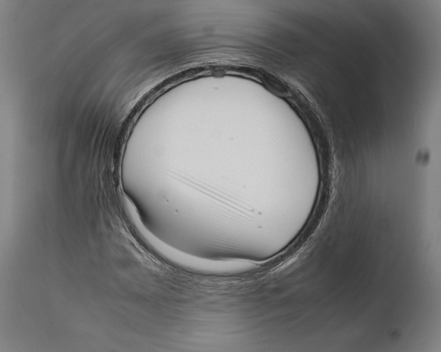 X0000111531065200908111220