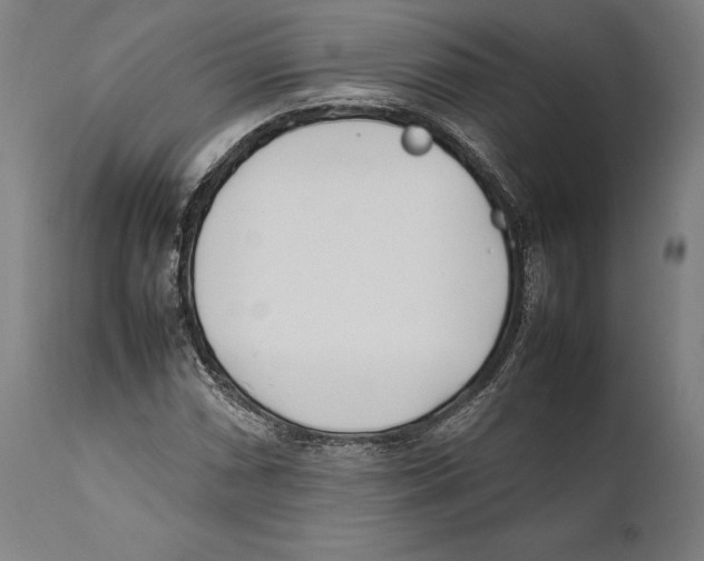 X0000111531066200908111220