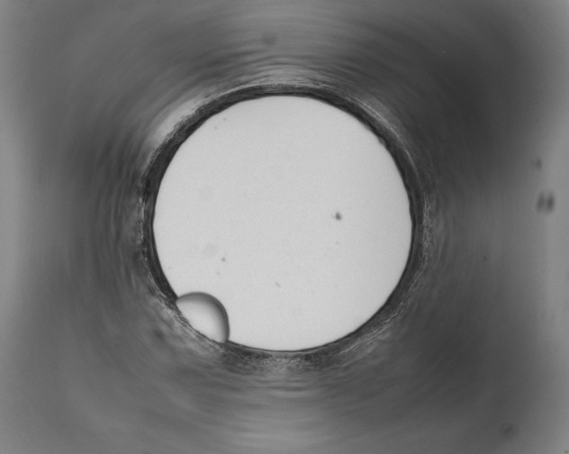 X0000111531067200908111220