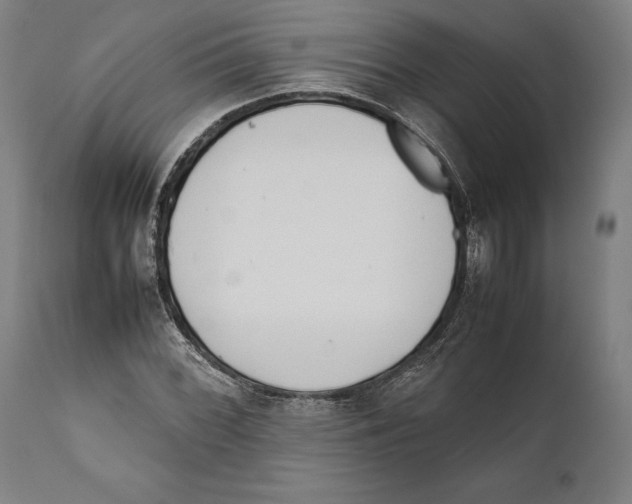 X0000111531068200908111220