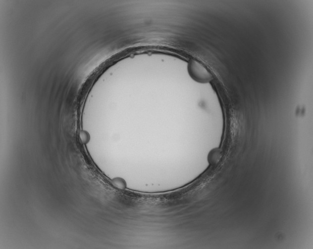 X0000111531069200908111220