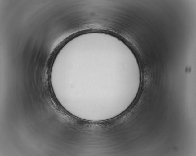 X0000111531070200908111220