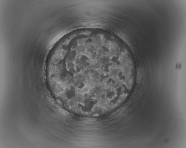 X0000111531071200908111220