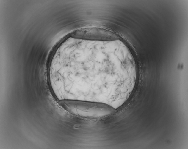 X0000111531072200908111220