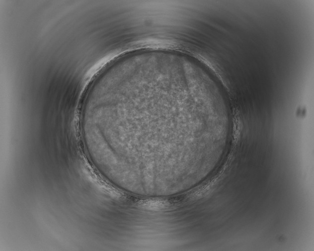 X0000111531074200908111220