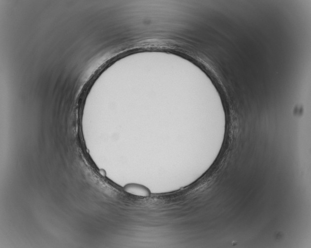 X0000111531075200908111220