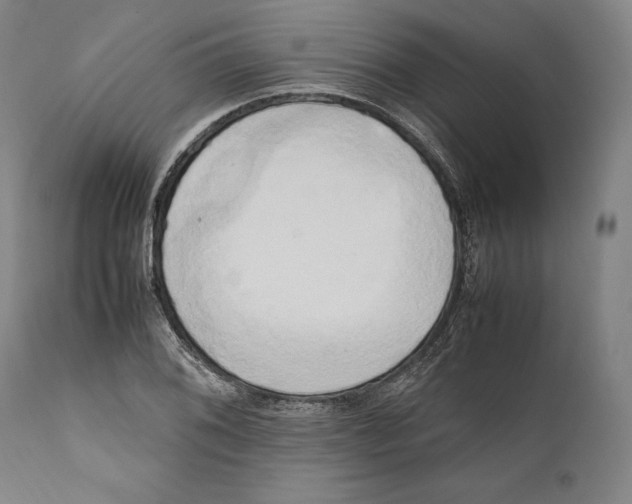 X0000111531076200908111220