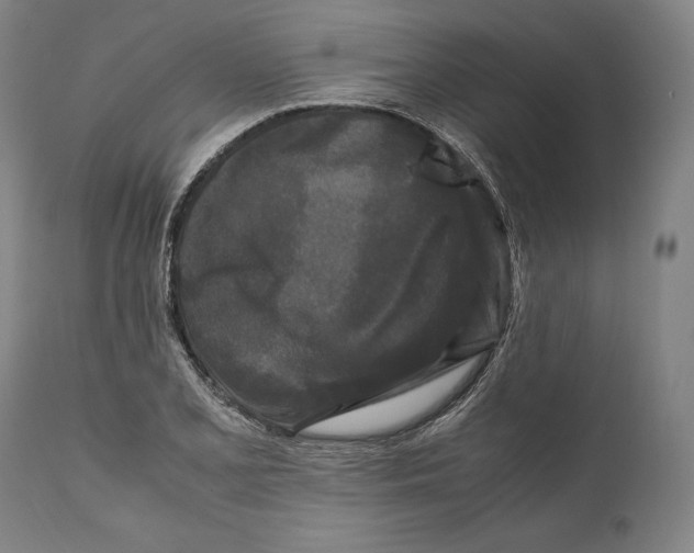 X0000111531077200908111220