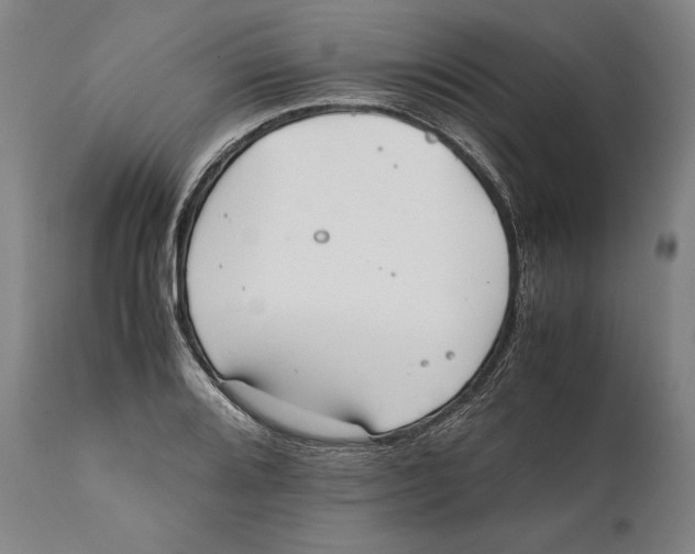 X0000111531080200908111220