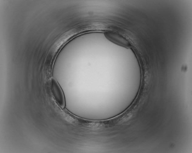 X0000111531081200908111220