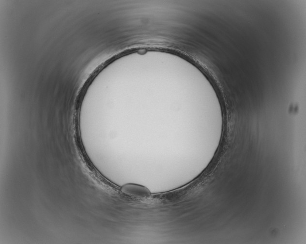 X0000111531085200908111220