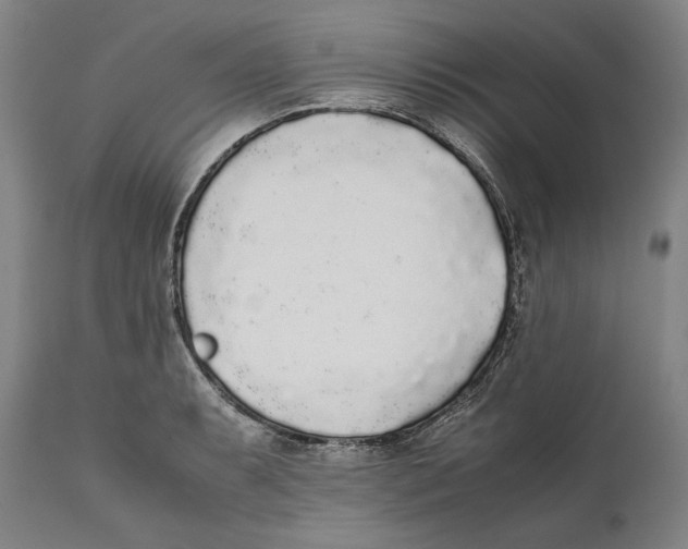 X0000111531087200908111220