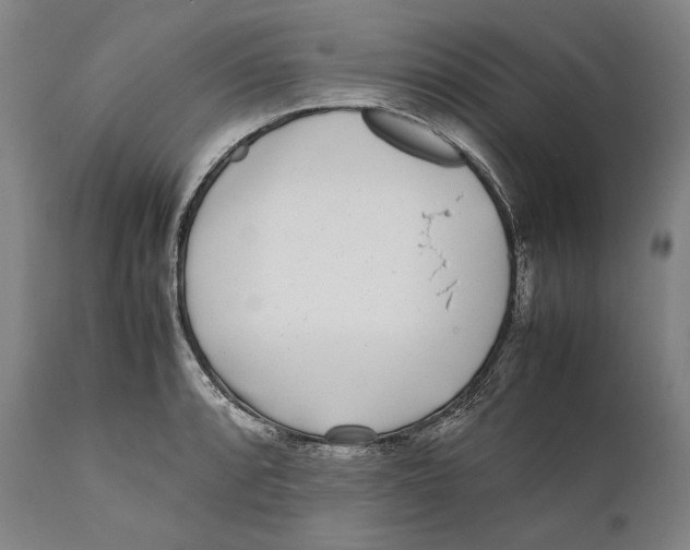 X0000111531088200908111220