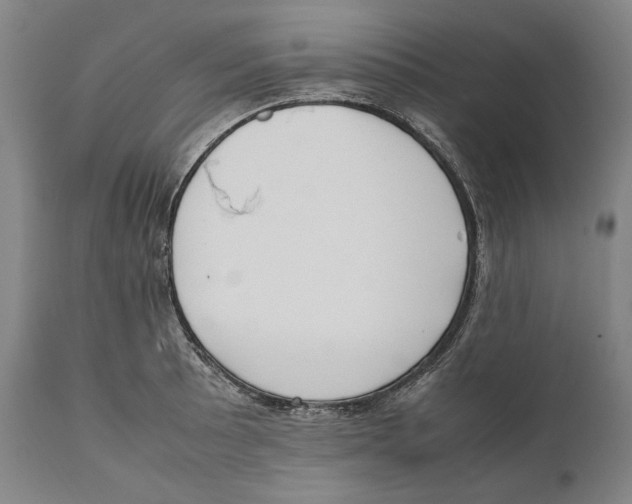 X0000111531089200908111220