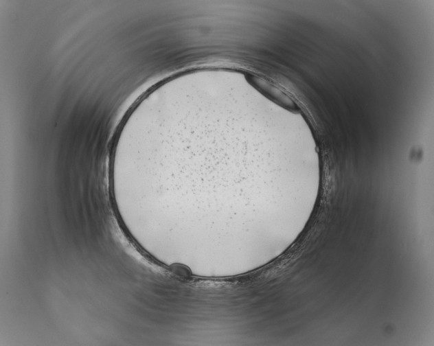 X0000111531092200908111220