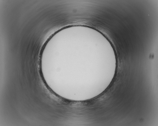 X0000111531093200908111220