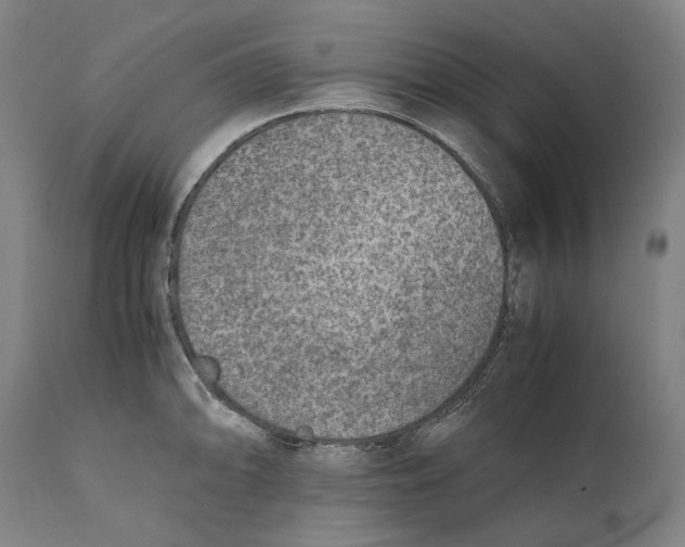 X0000111531094200908111220