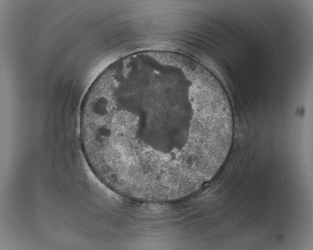 X0000111531095200908111220