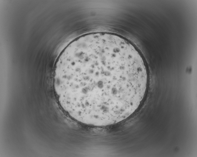 X0000111531097200908111220