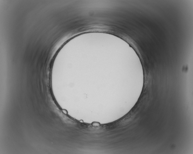 X0000111531099200908111220