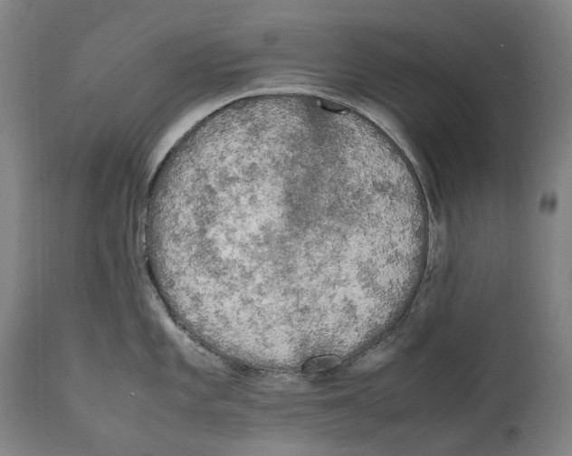 X0000111531101200908111220