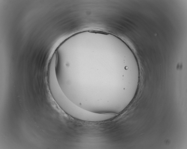 X0000111531104200908111220