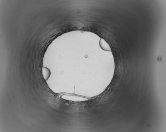 X0000111531105200908111219