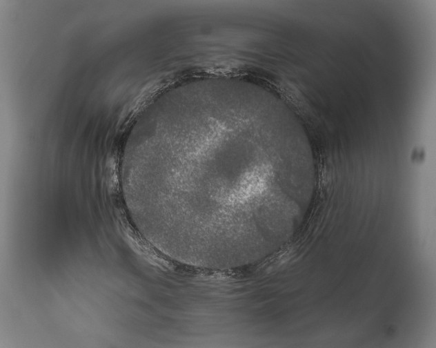 X0000111531106200908111219