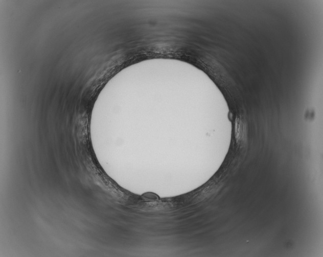 X0000111531107200908111219