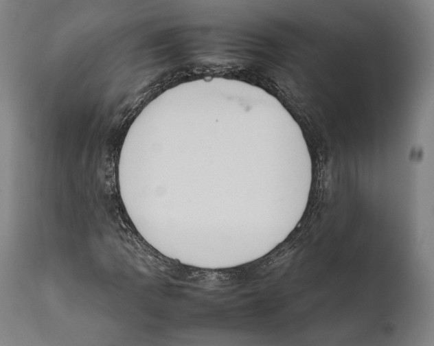 X0000111531109200908111219