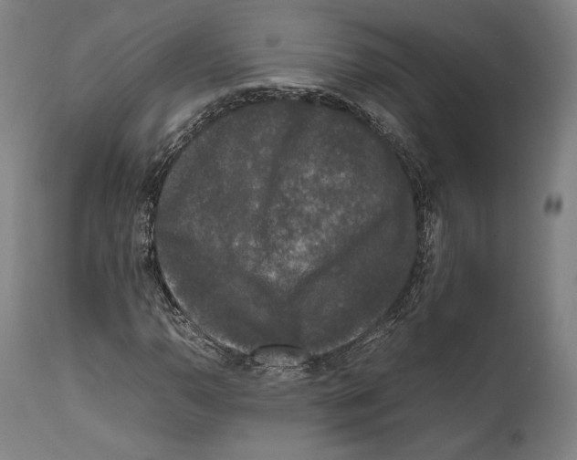 X0000111531110200908111219