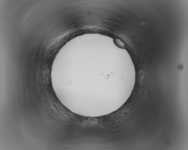 X0000111531111200908111219