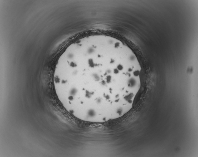 X0000111531112200908111219