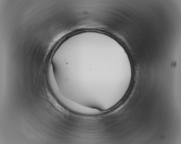 X0000111531114200908111219